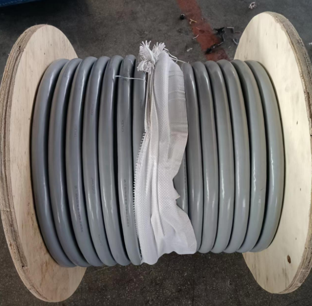 17095485739544.png QQ截圖20231217154313.png